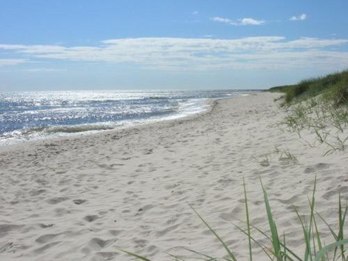 Falsterbo Camping Resort Skanör med Falsterbo Екстериор снимка